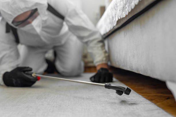 Professional Bed Bug Control technician working in Orange City, IA