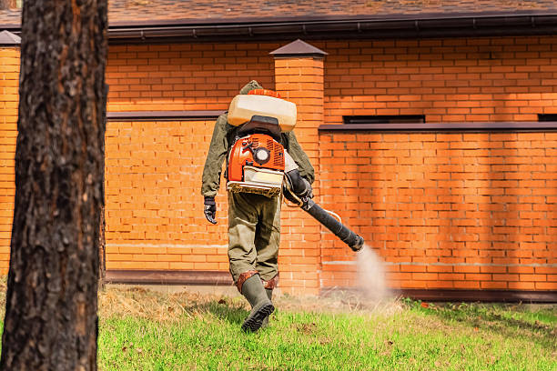Trusted Termite Control service in Orange City, IA - Nex Pest Control